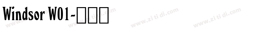 Windsor W01字体转换
